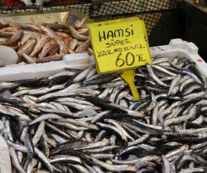 Balık fiyatları geriledi, hamsinin fiyatı 110 TL’den 60 TL’ye düştü