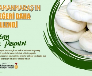 Kahramanmaraş’ın 27. coğrafi işaretli ürünü: Elbistan kelle peyniri