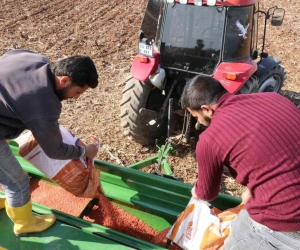 Şanlıurfa Büyükşehir Belediyesi buğday ekimine başladı