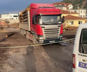 Üzerine tomruk düşen sürücü hayatını kaybetti