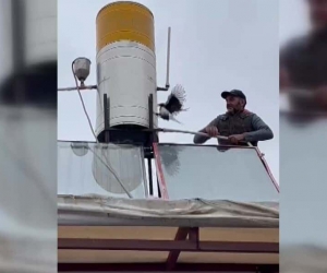 Çatıda takıldığı yerde mahsur kalan karga kurtarıldı