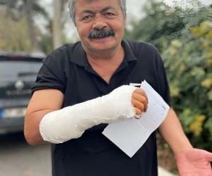 Kedilerin kavgasını ayırmak isterken kolundan yaralandı