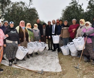 Büyükşehir’den üreticilere koruyucu malzeme desteği