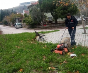 Karesi Belediyesi’nden milyonlarca metrekarede ot temizliği