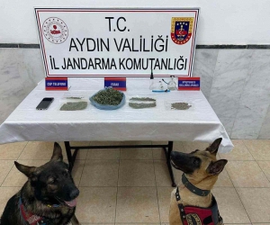 Jandarmadan uyuşturucu operasyonu: 22 yakalama