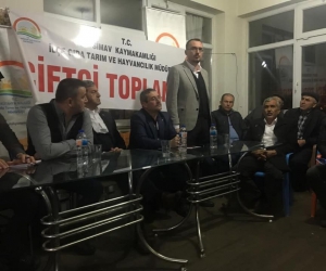 Japon eriği üretimine devlet desteği