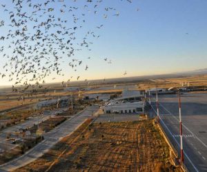 Şırnak Şerafettin Elçi Havalimanında bu yılın ilk 9 ayında 250 bin yolcu taşındı