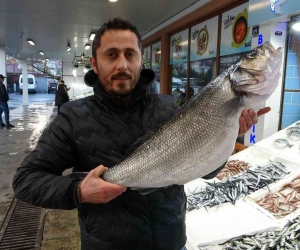 Karadeniz’de yakalanan 8 kiloluk levrek 2 bin liradan tezgahta