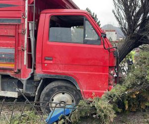 Canlı hayvan taşıyan kamyonet ağaca çarptı, 2 kişi yaralandı