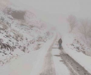 Tunceli’de kardan kapanan 7 köy yolunda çalışma sürüyor