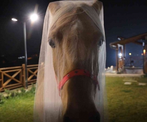 Bu düğünde gelin ve damat görenlerin ağızlarını açık bırakıyor