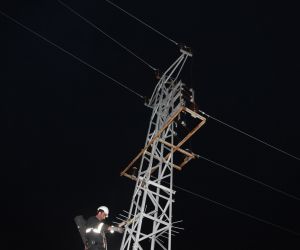 Yüksek gerilim hattına kapılan şahin 9 köyün elektriğini kesti