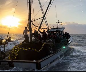 İzmir Körfezi’nde kaçak avcı operasyonu: Balıkçı teknesi kaçtı, ekipler kovaladı