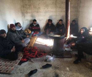 Şanlıurfa’da 83 kaçak göçmen yakalandı