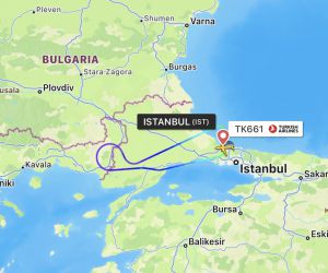 Tunuslu yolcu hareket halinde olan uçaktaki kabin memuruna saldırdı