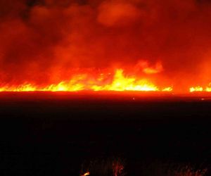 Beyşehir Gölü kıyısında 12 farklı noktada çıkan sazlık yangını söndürüldü