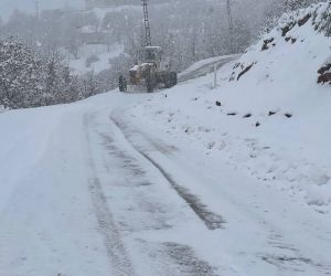Tunceli’de kapalı bulunan 128 köy yolunda çalışma sürüyor