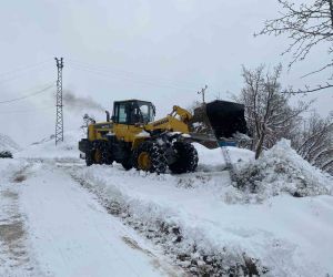 Şırnak’ta kapanan köy yolları tekrar ulaşıma açıldı