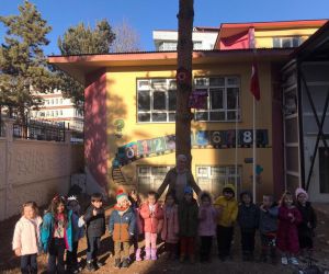 Anaokulu öğrencilerinin tasarladığı kuş evleri okul bahçesindeki yerini aldı