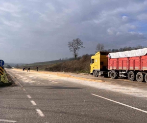 Kamyonun kapağı açıldı, yol mısırla kaplandı