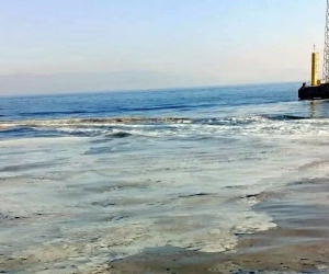 Ağlara balık yerine müsilaj takıldı