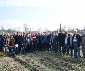 Tahtaköprü’de 32 Çiftçi Meyve Budama Sertifikası Aldı	