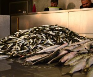 Yüksek fiyat balık satıcılarını vurdu