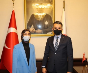 Vekil Gürel’den Hocaköy Barajı açıklaması
