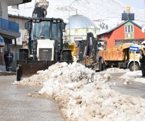 Tufanbeyli Belediye Başkanı Remzi Ergü: “Kar senesi, var senesi”