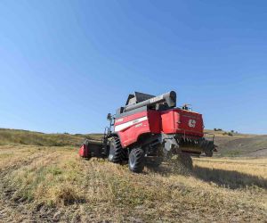 Altındağ’da çiftçilere tohum desteği