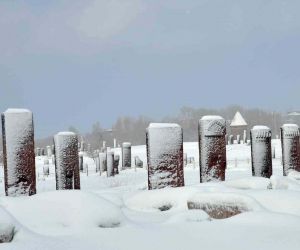 ’Sakin şehir’ Ahlat’ın tarihi mekanlarından kartpostallık kar manzaraları