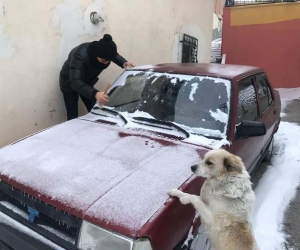 Bayburt buz kesti, Sibirya soğukları etkili oluyor