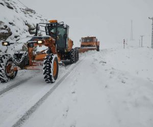 Siirt’te kar nedeniyle kapanan grup köy yolları ulaşıma açıldı