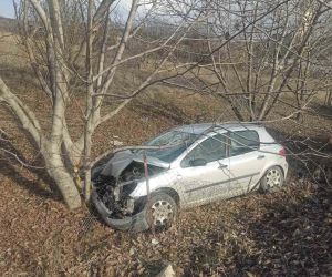 Otomobil ceviz ağacına çarptı: 2 yaralı