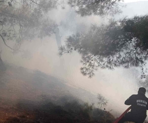 Mersin’de orman  yangını, kontrol altına alındı