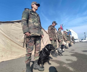 Azerbaycan’ın ’hassas burunlu’ arama kurtarma köpekleri deprem bölgesinde