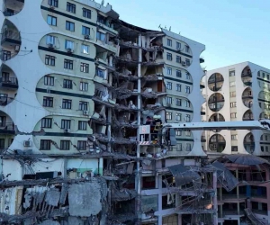 Galeria sitesinde mahsur kalan hayvanlara ilişkin açıklama