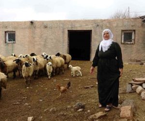 Mardin’in tek kadın muhtarı Nebahat, gelin geldiği köyü iki dönemdir yönetiyor