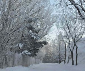 Bölgede en düşük hava sıcaklığı eksi 10 olarak Kars’ta ölçüldü