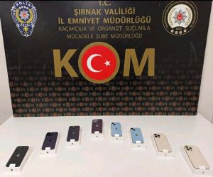 Şırnak’ta asayiş ve kaçakçılık operasyonu: 49 gözaltı