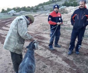 Bin 300 rakımlı dağda mahsur kalan keçi kurtarıldı