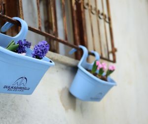 Dulkadiroğlu’nda balkonlar çiçek açtı