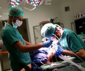 Engelli hastalara genel anestezi ve sedasyon ile diş tedavisi imkanı