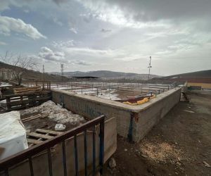 Yozgat’ta canlı hayvan pazarları tedbiren kapatıldı