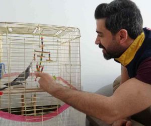 Depremin 10’uncu gününde enkazdan canlı çıkan papağanı sağlık personeli sahiplendi