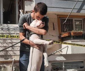 Kahraman köpek ’Dora’, deprem anında kendisini siper ederek sahiplerini korudu