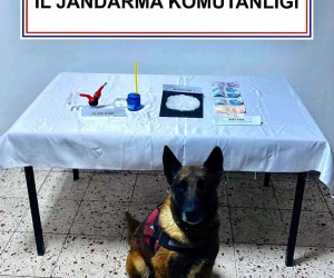 Narkotik köpek ‘Kont’ destekli uyuşturucu operasyonu