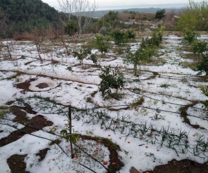Erzin’de dolu yağışı etkili oldu
