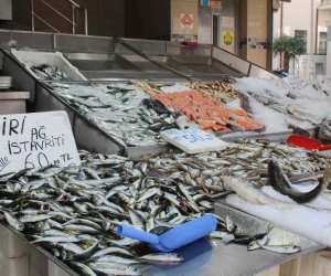 Balık sezonunda sona yaklaşıldı, tezgahlar mezgit ve istavrite kaldı