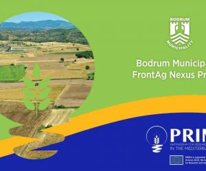 Bodrum Belediyesi’nin Topraksız Tarım Projesi, Nisan 2023’te başlıyor